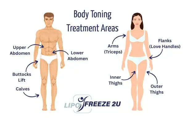 Graphic showing where you can have Body toning Treatment Somerset on your body